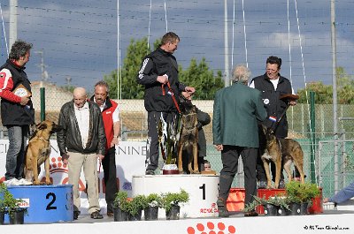 Remise des Prix 215.JPG - CHIENPLUS.COM
